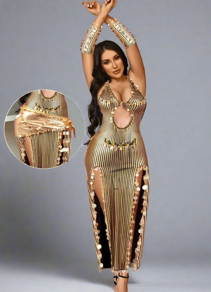Belly Dance Suit