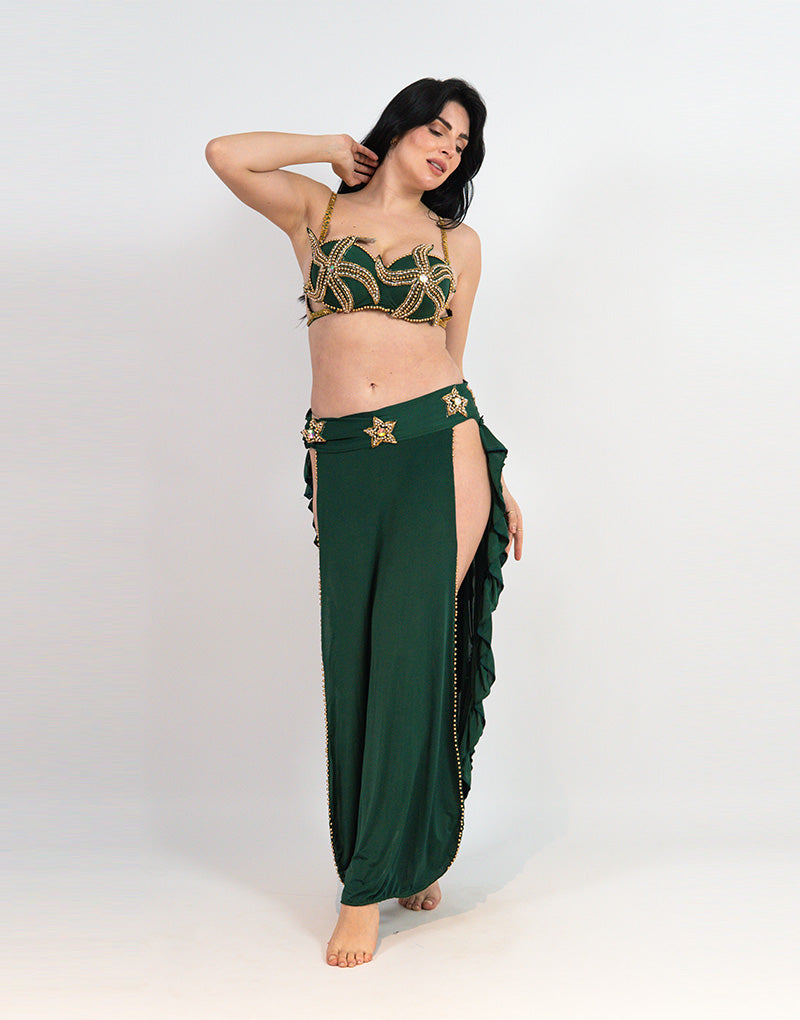 Belly dance suits
