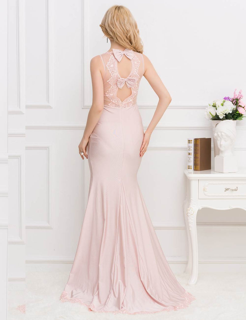 Elegant Pink Transparent Gauze Evening Dress