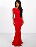 Lace Elegant Fishtail Maxi Party Gown Dress Egypt