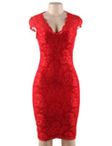 Backless Formal Evening Dress Egypt With Golden Strap