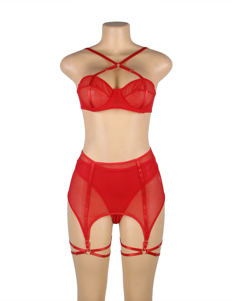 Red & Black Mesh Underwire Garter Lingerie Set