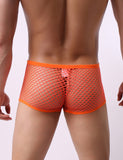 Sexy Men's Fishnet Boxer