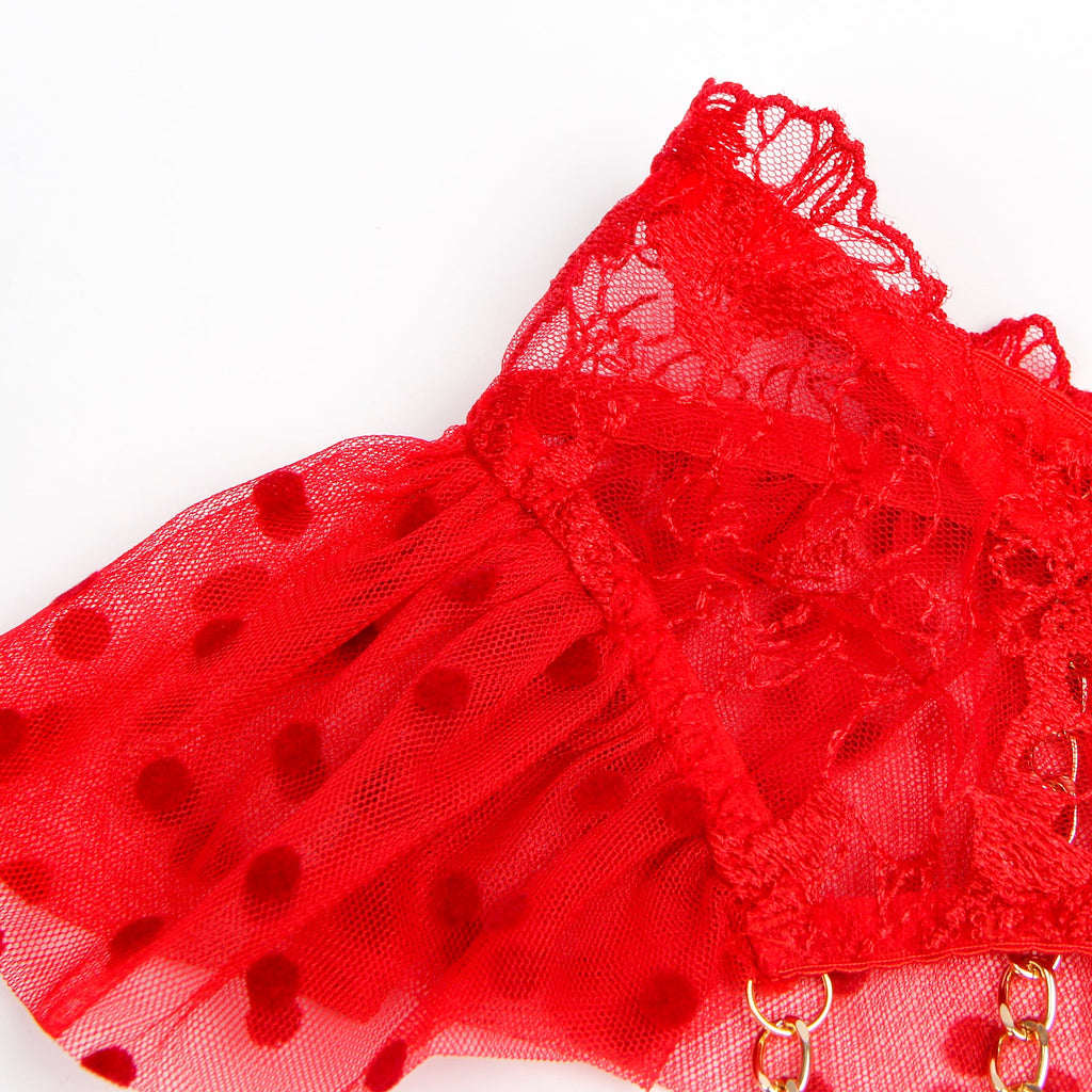 Sexy Lace Garter Bra Panty Egypt Set