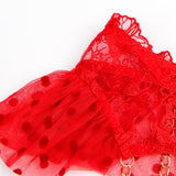 Sexy Lace Garter Bra Panty Egypt Set