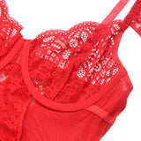 Sexy Egypt Jacquard Lace Mesh Crotchless Bodysuit With Garter