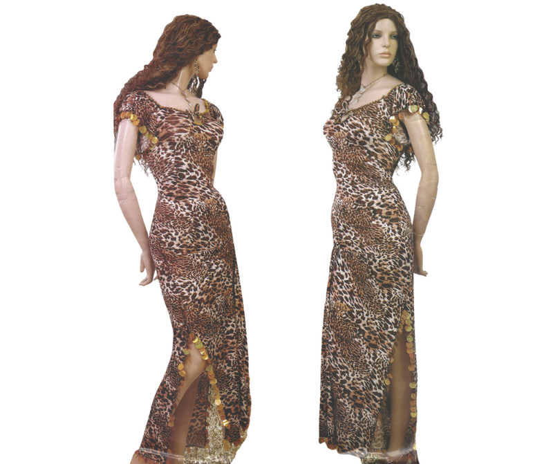 Belly Dance Costume