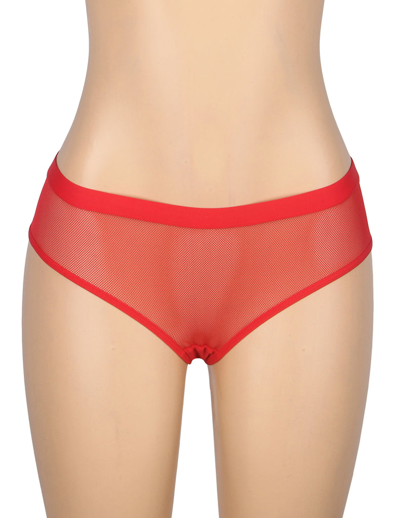 Sexy Mesh Hollow Back Women Panty