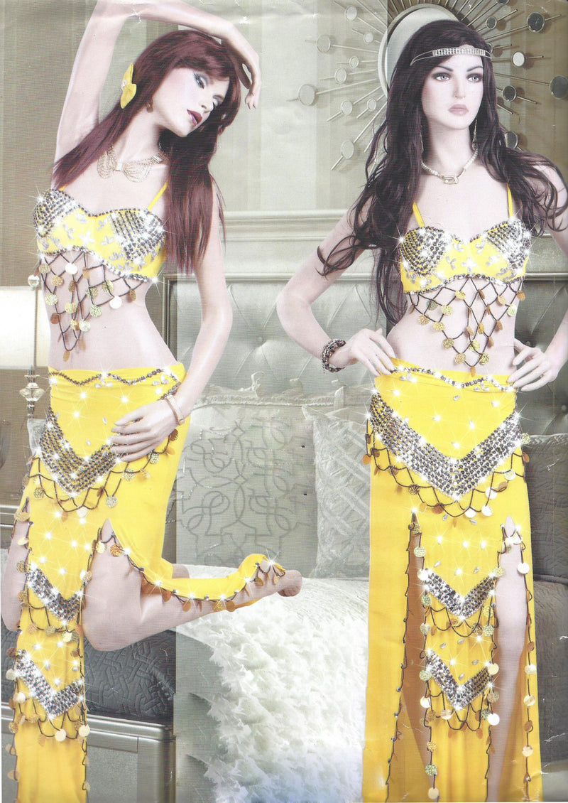 Belly Dance Costume
