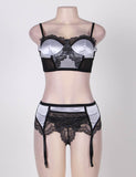 Sexy Delicate Mesh Microfiber Underwire Bra Set