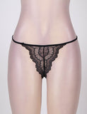 Sexy Delicate Mesh Microfiber Underwire Bra Set