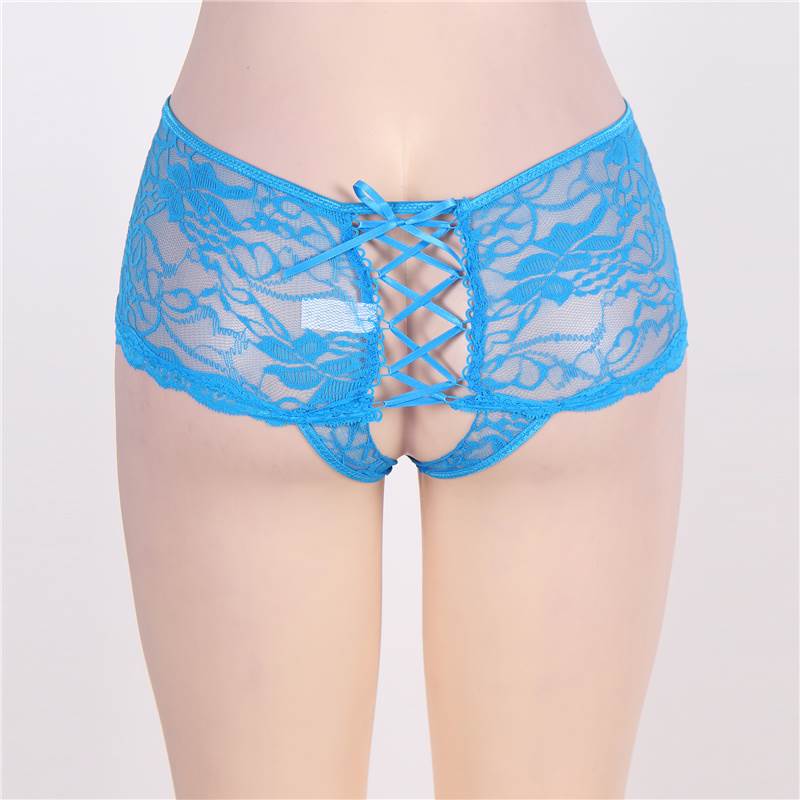 Open Crotch Floral Lace Panty