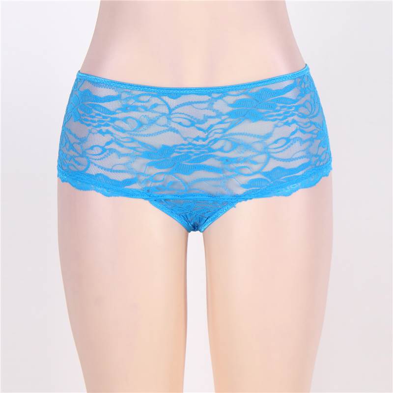 Open Crotch Floral Lace Panty