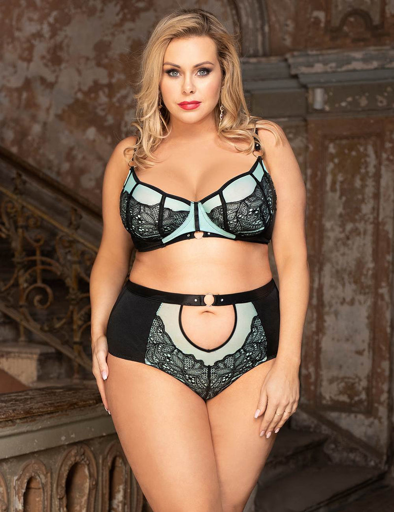 Blue Exquisite Sexy Lace Splice Bra Set With Underwire