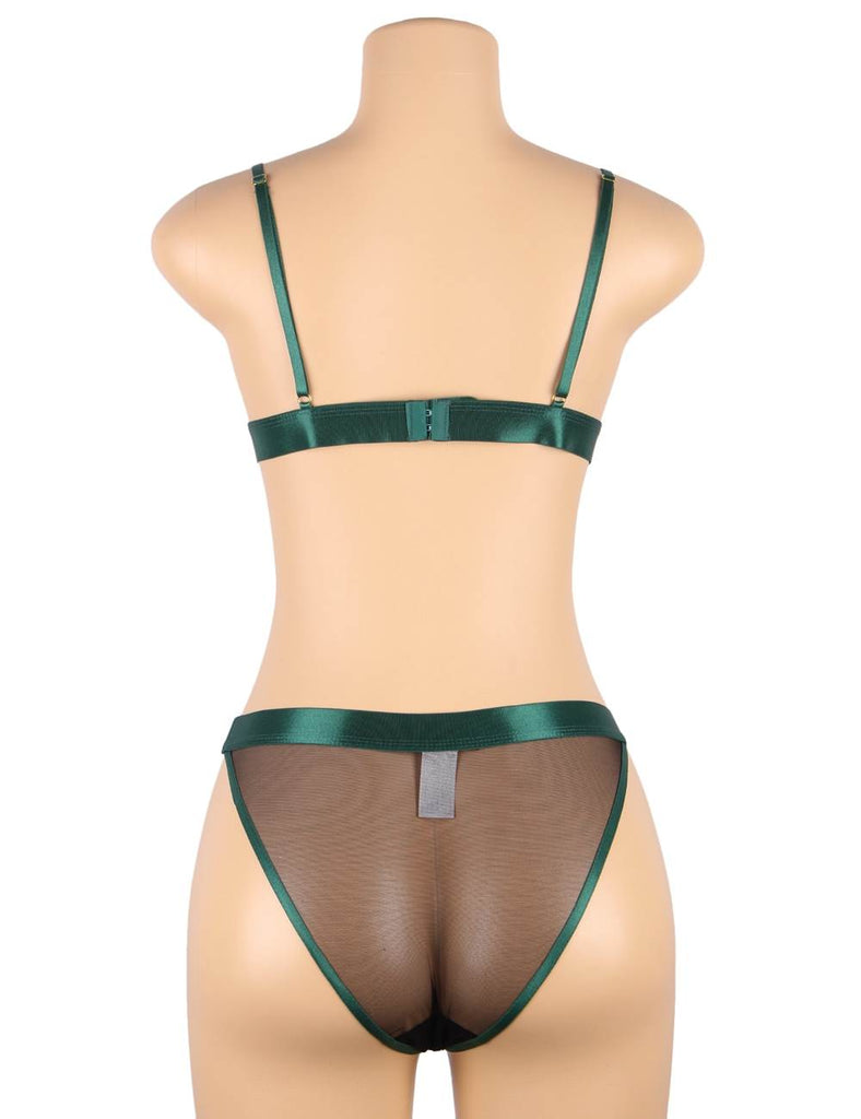 Plus Size Elegant Embroidery Fashion Bra Set