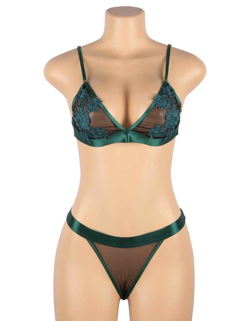 Plus Size Elegant Embroidery Fashion Bra Set