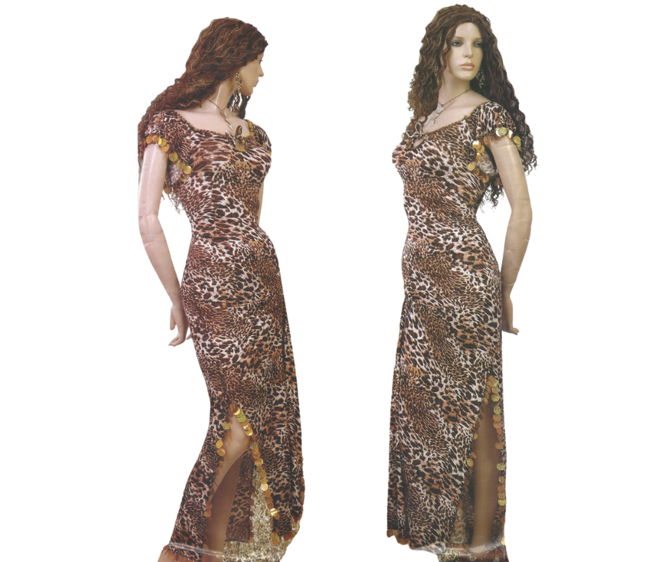 Belly Dance Costume