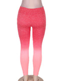 Gradual Change GYM Legging