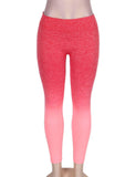 Gradual Change GYM Legging