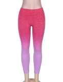 Gradual Change GYM Legging