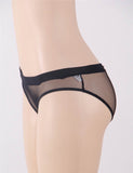 Sexy Black Netted Open Back Hipster Panty