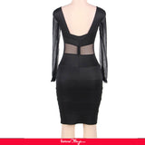 Plus Size Black Mesh Sexy Bodycon Long Sleeves Dress