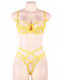 Elegant Embroidery Fashion Bra Set With Steel Ring