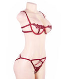 New Elegant Embroidery Fashion Bra Set With Underwire