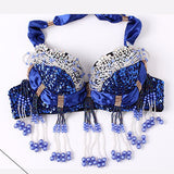 Beaded Decorated Sexy Dance Wear Plus Size Belly Dance Costume