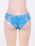 Plus Size Blue Lace Naughty Panty