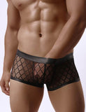 Mens Sexy Sheer Black Boxer Underwear