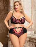 New Exquisite Sexy Lace Splice Bra Set Egypt With Underwire