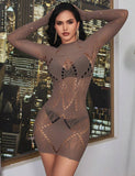 Brown Sexy Long Sleeves Bodystocking