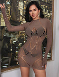 Brown Sexy Long Sleeves Bodystocking Egypt