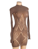 Brown Sexy Long Sleeves Bodystocking Egypt