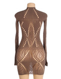 Brown Sexy Long Sleeves Bodystocking