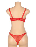 Red Sexy Egypt Mesh Heart Chain Bra Set