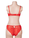 Red Sexy Lace Lingerie Set