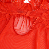 Sexy Lace Mesh U Shape Backless Babydoll Lingerie