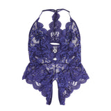 Sexy Lace Mesh Halter Neck Deep V Crotchless Bodysuit