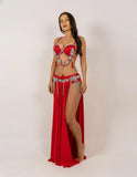 Belly dance suits