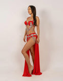 Belly dance suits