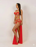 Belly dance suits