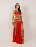 Belly dance suits