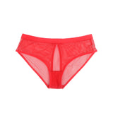 Sexy Mesh Hollow Back Women Panty
