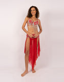 Belly dance suits