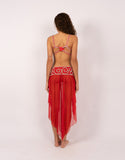 Belly dance suits