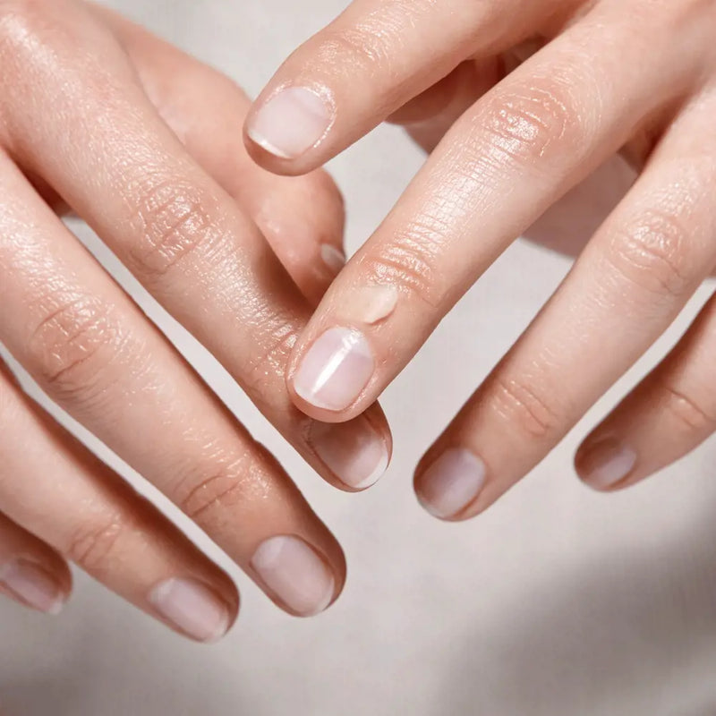 Tender Care Multi-Purpose Conditioner with Mandarin Extract