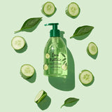 Olive hand purifying oil with green tea and e-cucumber