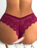 High Quality Sexy Floral Lace Panty